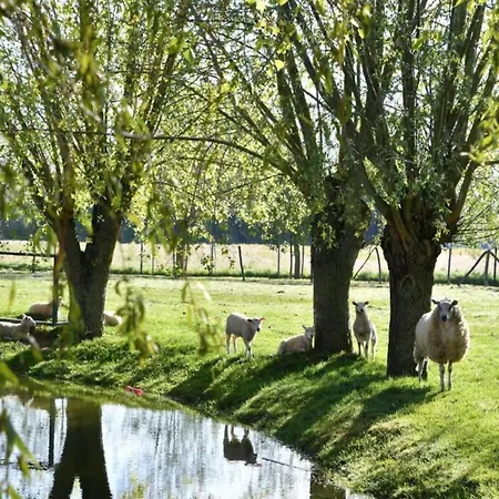 In With Stunning Sea Views *