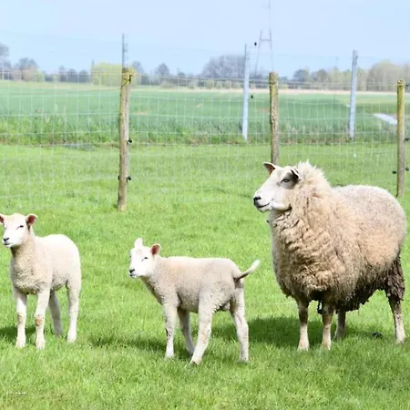 In With Stunning Sea Views *