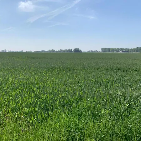 In With Stunning Sea Views Appartement