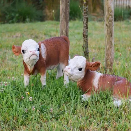 Appartement In With Stunning Sea Views *