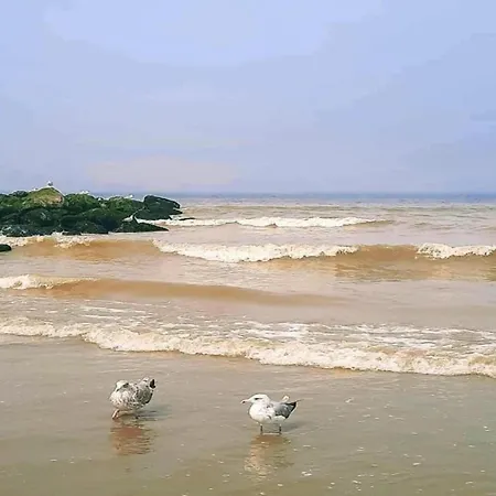 Appartement In With Stunning Sea Views *