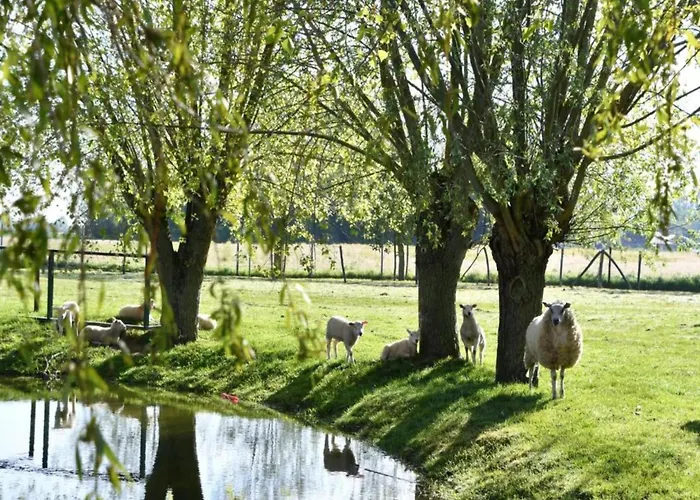 In With Stunning Sea Views *